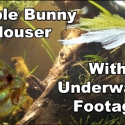Double-Bunny-Clouser-Minnow-FOTM-UNDERWATER-FOOTAGE-McFly-Angler-Fly-Tying