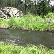 Fishing-Spring-Creek-June-14th-2011