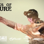 Fly-Fishing-Argentina-Freaks-of-Nature-Trailer