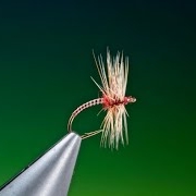 Fly-Tying-a-Pay-Day-Midge-with-Barry-Ord-Clarke