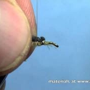 Fly-Tying-with-Hans-CDC-Emerging-Mayfly-Nymph