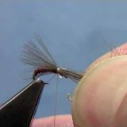 Fly-Tying-with-Hans-CDC-MIDGE-EMERGER