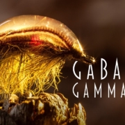 Gabalfa-Gammarus-An-easy-to-tie-versatile-shrimpscud-pattern