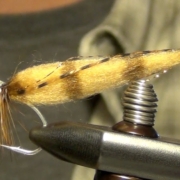 Snookie-Shrimp-Snook-Fly-Tying-Instructions-and-Directions