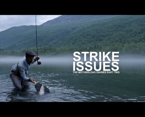 Strike-Issues-The-Motherload-Diaries-Part-Two