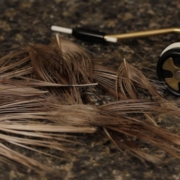 Stripping-Peacock-Quills