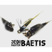 The-Jedi-Master