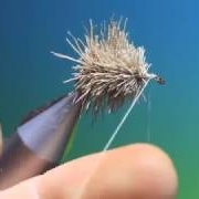 Tying-a-GH-sedge-with-Barry-Ord-Clarke