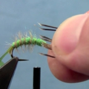 Tying-with-Hans-Hydropsyche-Caddis-Larvae