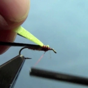 Tying-with-Hans-Split-Case-PMD-Nymph