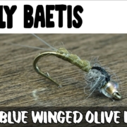 Wooly-Baetis-Blue-Winged-Olive-NYMPH