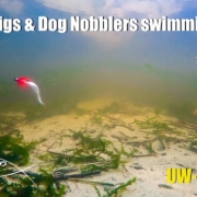 A-Dozen-Mini-jigs-and-Dog-Nobblers-under-water-special