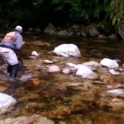 Big-Browns-in-high-water-Fly-fishing-South-Island-NZ
