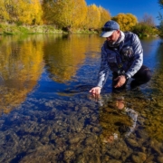 Fly-Fishing-New-Zealand.-GUIDES-TRIP-Getting-High-on-Dry