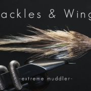 Fly-Tying-Extreme-Muddler-Hackles-Wings
