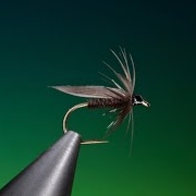 Fly-Tying-a-16-Black-Gnat-wet-fly-with-Barry-Ord-Clarke