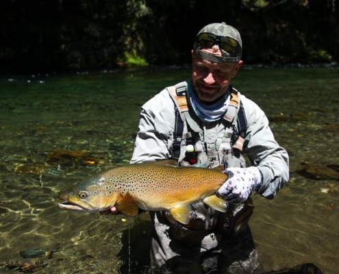 The-search-for-39dry-fly-heaven39-Fly-fishing-New-Zealand