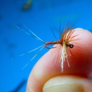 Tying-a-Cranked-Spinner-Dry-Fly-with-Davie-McPhail