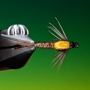 Tying-a-Hot-spot-pheasant-tail-with-Barry-Ord-Clarke