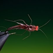 Tying-a-Stone-fly-nymph-with-Barry-Ord-Clarke