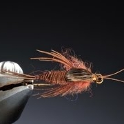 Tying-a-clinger-stone-fly-nymph-with-Barry-Ord-Clarke