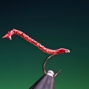 Tying-a-free-swimming-blood-worm-with-Barry-Ord-Clarke