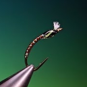 Tying-a-quill-body-buzzer-with-Barry-Ord-Clarke