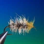 Tying-the-House-Building-caddis-with-Barry-Ord-Clarke