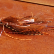 Bad-Bass-Crawdad-Fly-A-skirted-jig-type-fly-used-to-fish-cover