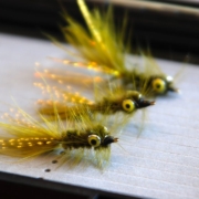Dumb-Eye-Bugger-Wooly-Bugger-trout-streamer-with-dumbbell-eyes
