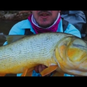 Fishing-Dorados-in-the-Jungle