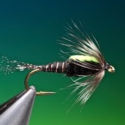 Fly-Tying-a-Black-Martinez-with-Barry-Ord-Clarke