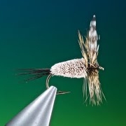 Fly-tying-a-Adams-Irresistible-with-Barry-Ord-Clarke