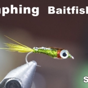 Nymphing-Baitfish-Small-Fry-For-Fly-Fishing-McFly-Angler-Fly-Tying-Tutorials