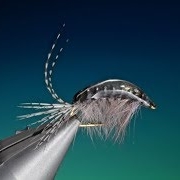 Tying-a-Gammarus-shrimp-with-Barry-Ord-Clarke_e0106317