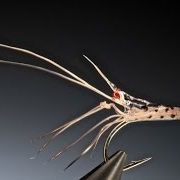 Tying-the-Halo-Glass-shrimp-with-Barry-Ord-Clarke_01d46344