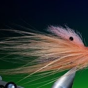 Tying-the-pattegrisen-with-Barry-Ord-Clarke_7396b309