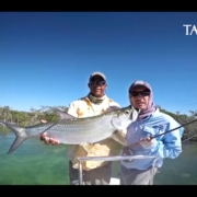 Amazing-Tarpon-Fly-Fishing-in-Cuba