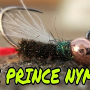 CDC-Prince-Nymph-variation-of-prince-nymph