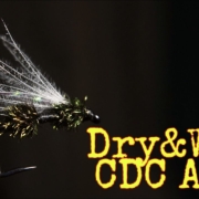 DryampWet-CDC-Ant