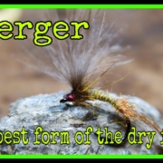 Emerger-best-form-of-dry-fly