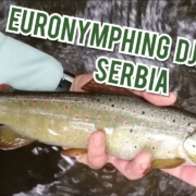 Euronymphing-Djetinja-Serbia-Vol.2