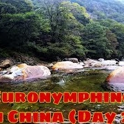 Euronymphing-in-China-Day-2