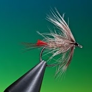 Fly-Tying-a-Soft-hackle-emerger-with-Barry-Ord-Clarke