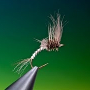 Fly-tying-a-generic-cripple-mayfly-with-Barry-Ord-Clarke