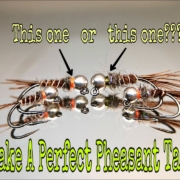 How-To-Make-A-Perfect-Pheasant-Tail-nymph-Corona-COVID-19-Edition
