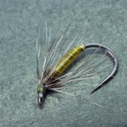 How-to-tie-a-Wet-fly-with-a-thorax