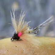 How-to-tie-the-Caenis-Dry-Fly-The-Anglers-Curse