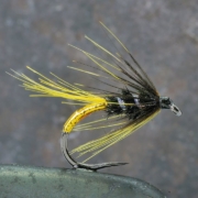 How-to-tie-the-Gold-Tag-Wet-fly
