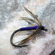 How-to-tie-the-Purple-and-Snipe-or-in-this-case-Woodcock